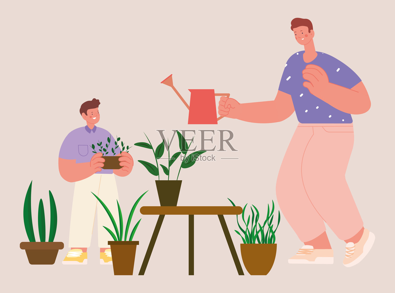 父亲和儿子一起照顾室内植物，给它们浇水。儿子拿着花盆，父亲在给植物浇水。室内园艺，家庭活动，生态生活方式。平面卡通矢量插图。插画图片素材