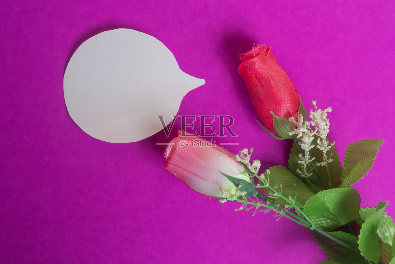 浪漫的玫瑰与表达信息的气泡，背景为鲜艳的粉。照片摄影图片