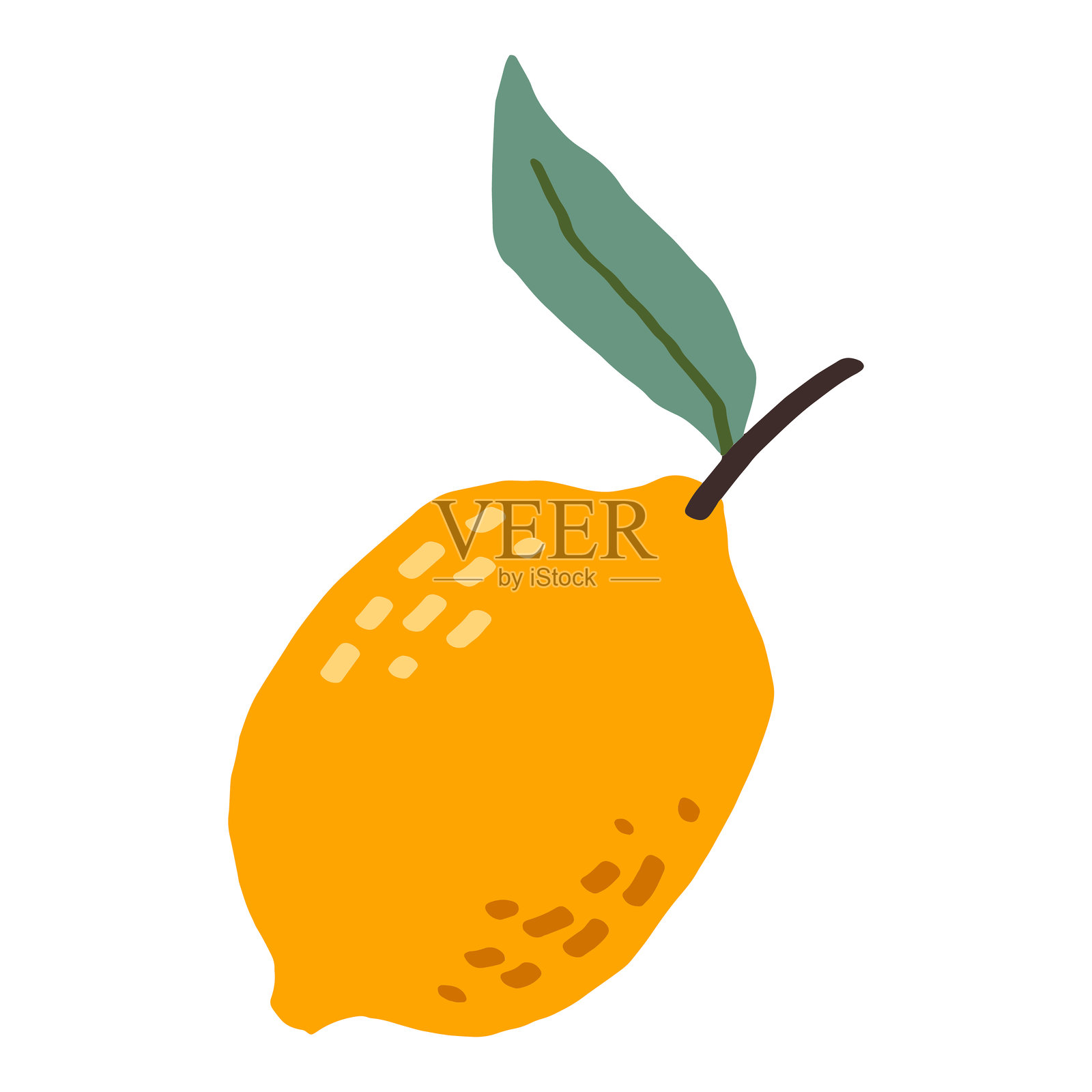 带叶子的柠檬插图插画图片素材