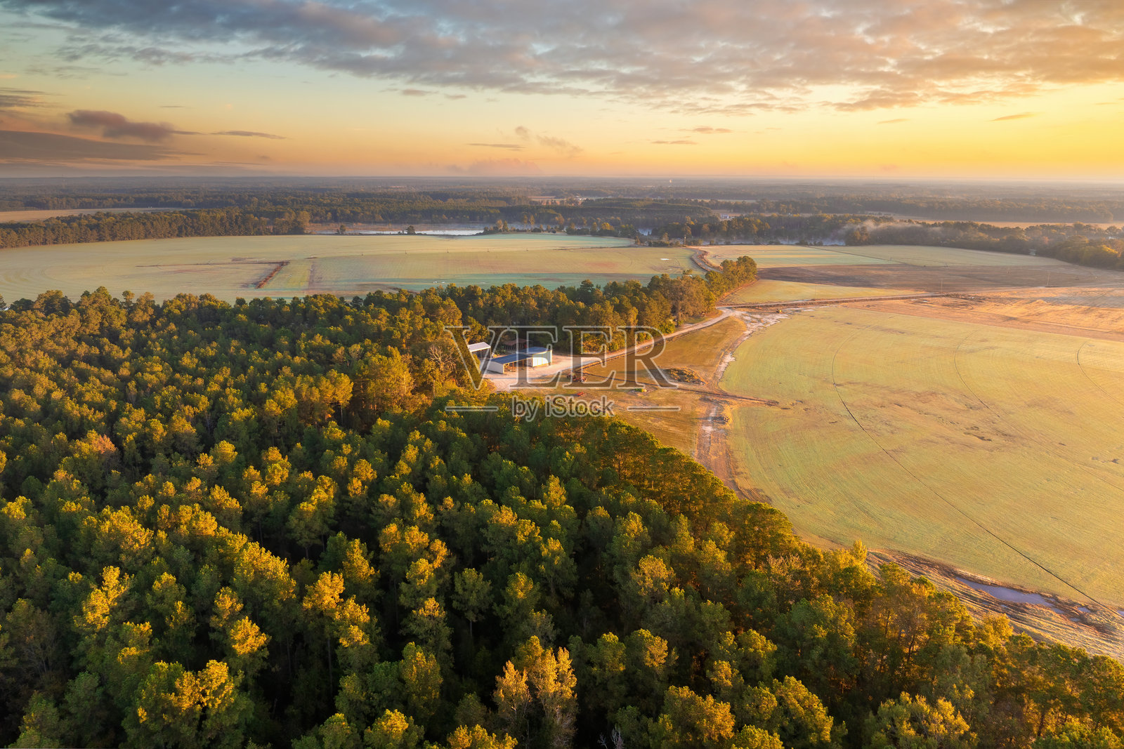 秋季郁郁葱葱的森林。阳光明媚的日子里，五彩斑斓的秋天树冠。秋季野生自然的风景。照片摄影图片