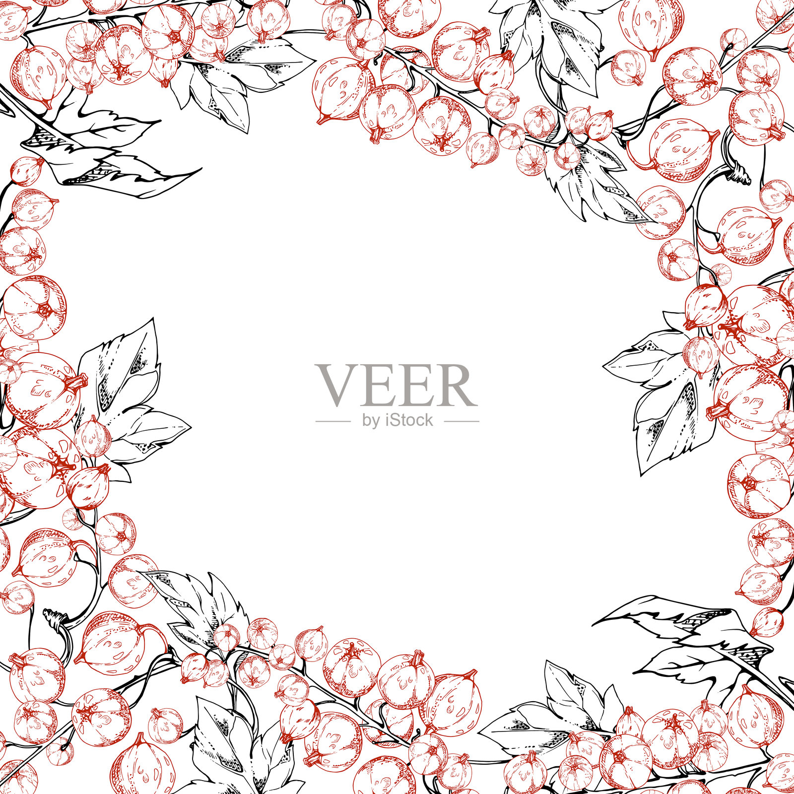 黑加仑、醋栗，绿叶在枝上，成熟的花园浆果，六月莓、卡西尔、黑莓簇。孤立的方形边框，手绘墨水插图。素食杂货店食谱卡片烹饪书。插画图片素材