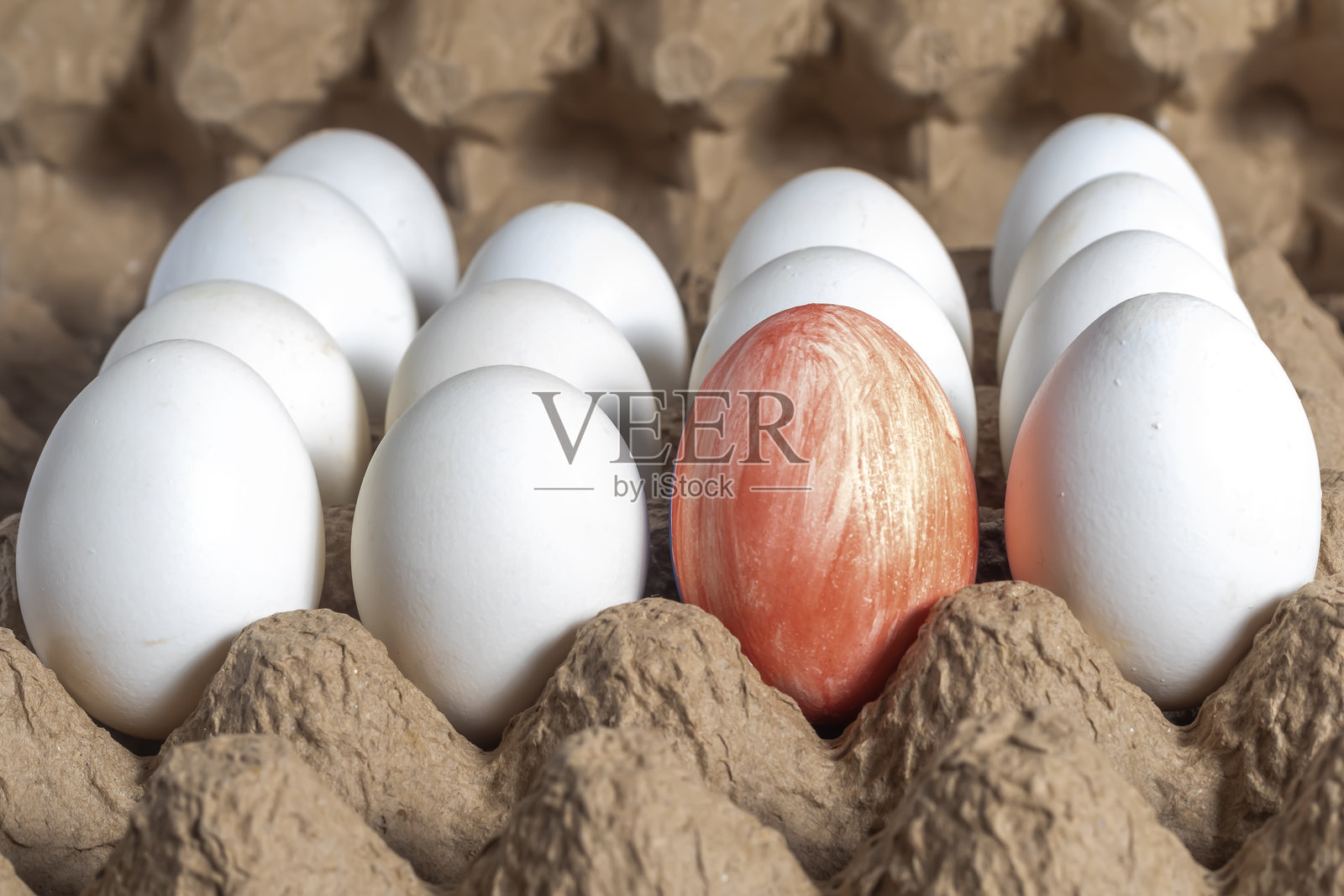 红色的蛋在纸板托盘上的白色蛋中显得格外突出。复活节快乐照片摄影图片