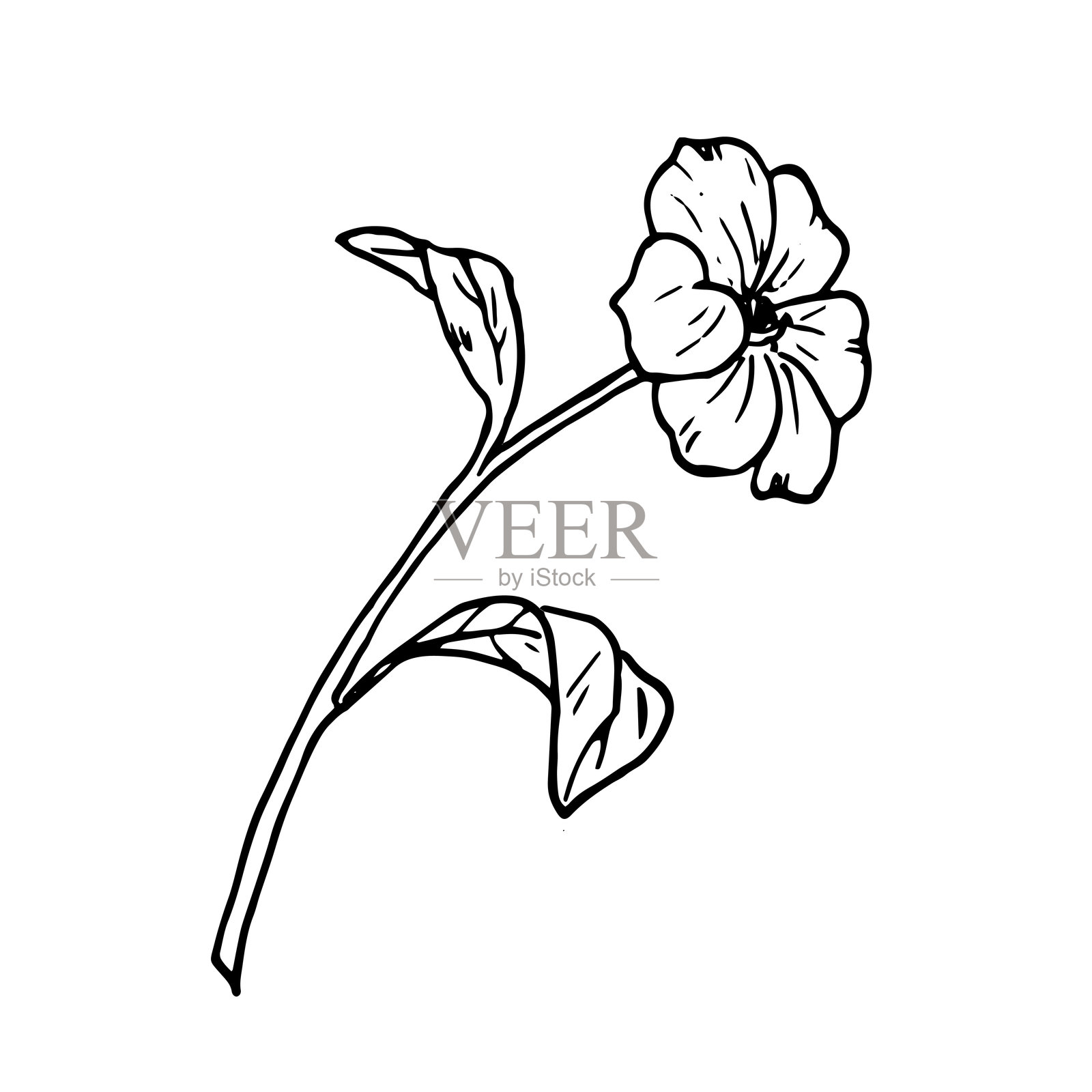 草地花与叶子，黑白墨水素描。矢量插图。野花的植物插图，独立于白色背景。用于横幅、网页、包装和印刷的花卉设计。插画图片素材