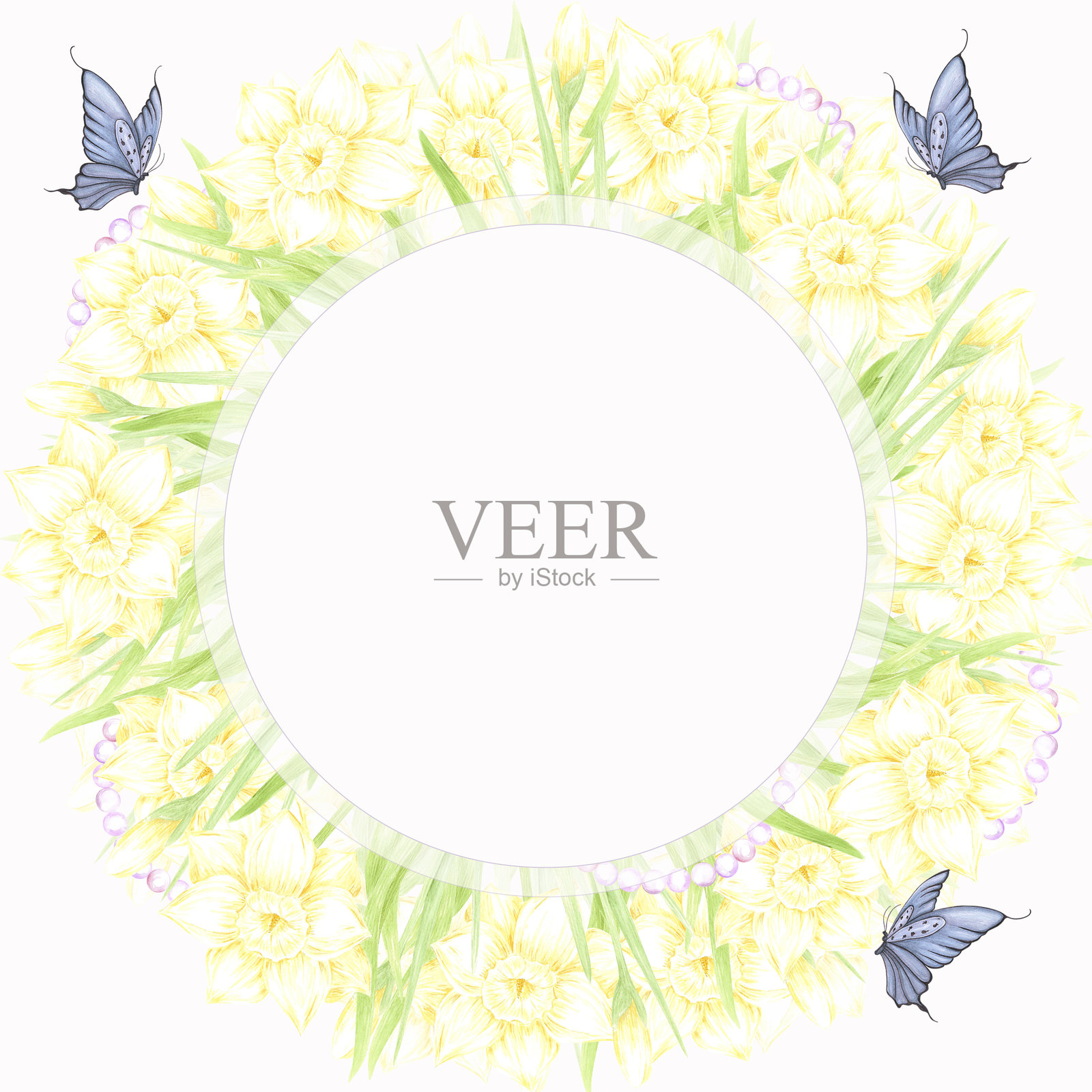 手绘水彩水仙花与绿叶、蝴蝶和珍珠花环边框，独立于白色背景。可用于明信片、邀请函、剪贴簿及其他印刷产品。插画图片素材