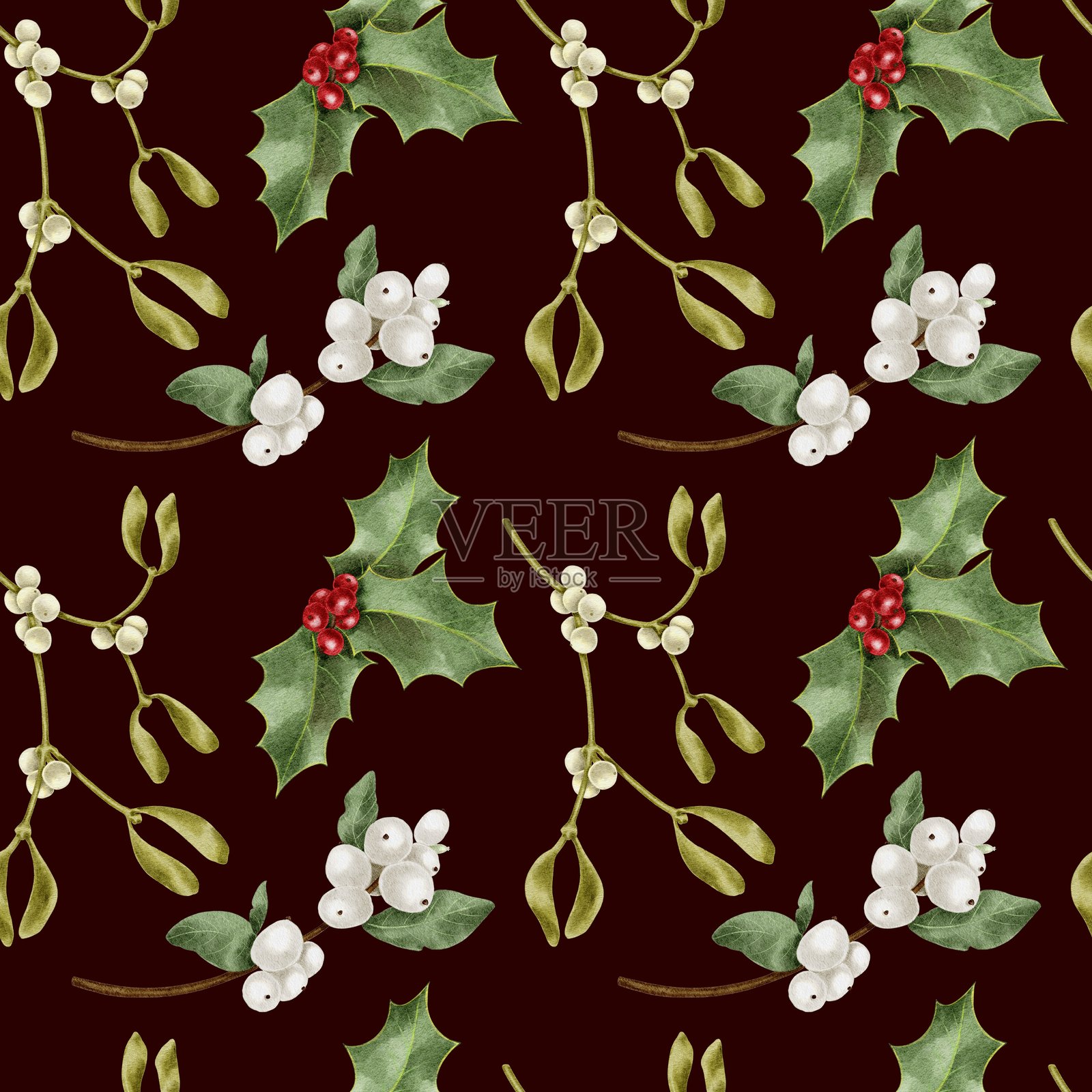 圣诞槲寄生、雪莓和冬青插画图片素材