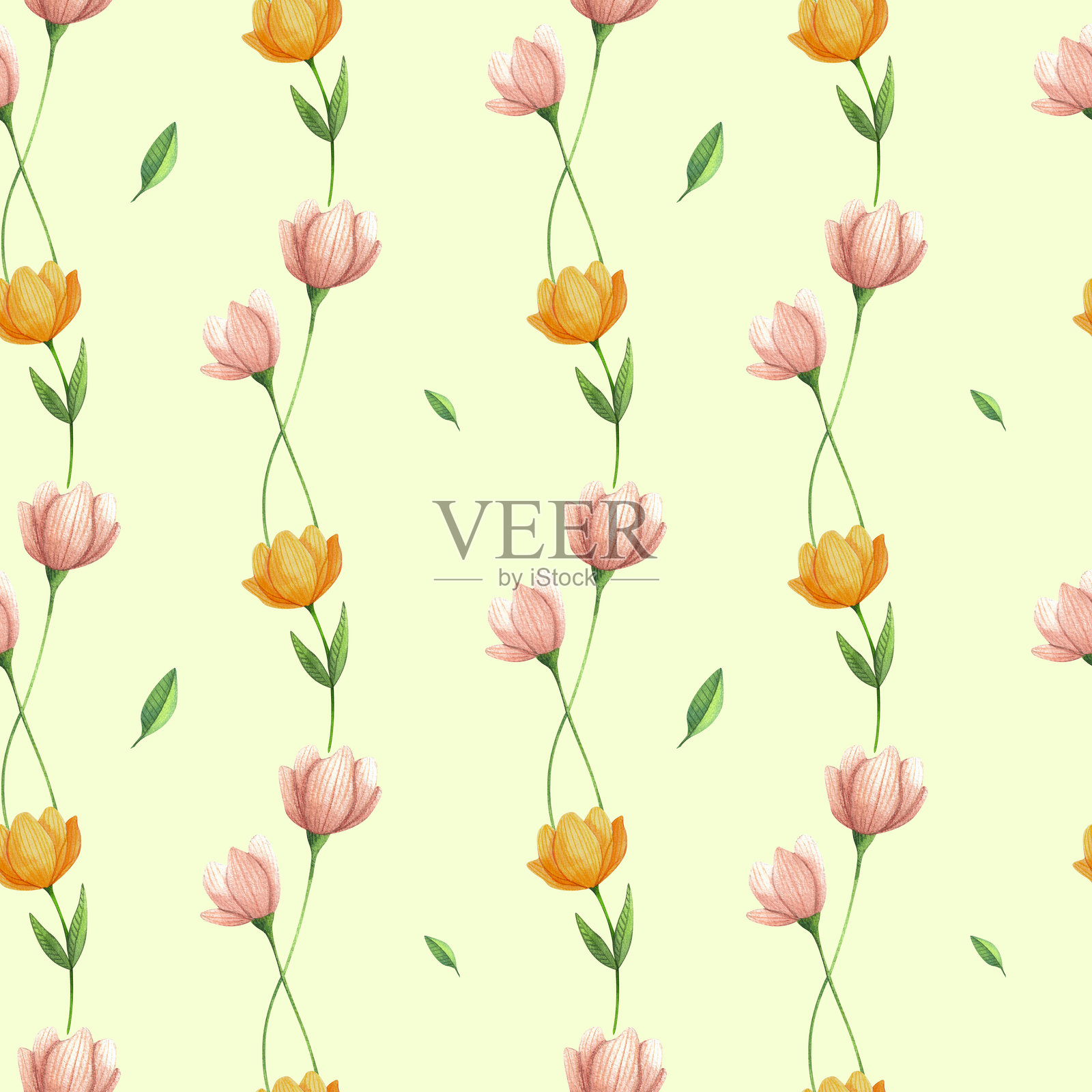 一组花卉、叶子，无缝图案，适用于婚礼邀请函、贺卡、印刷设计的花卉水彩插图。春夏季节的多彩花卉和植物组合。插画图片素材