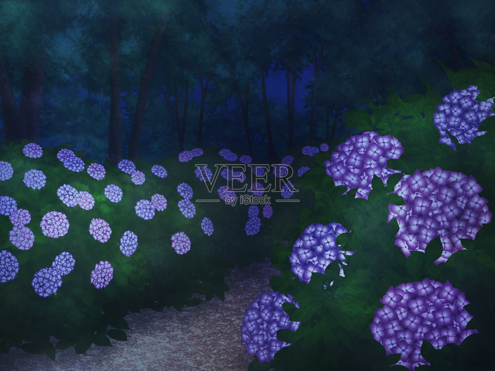 背景插图：绣球花小路（夜晚）插画图片素材