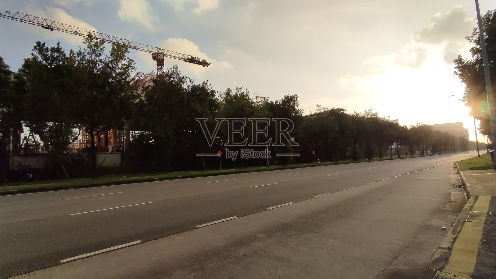 树木覆盖在下午阳光下的工业区照片摄影图片