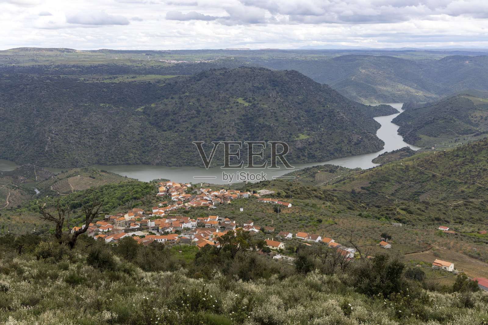 风景如画的村庄和河流环绕在郁郁葱葱的绿色景观中照片摄影图片