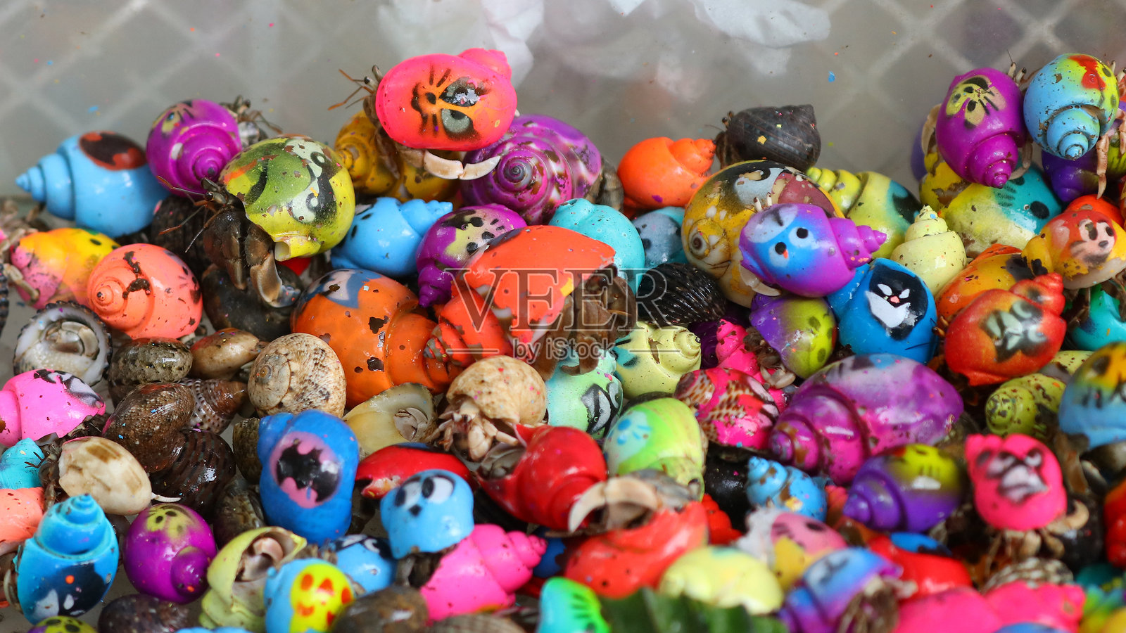 涂鸦的蜗牛照片摄影图片