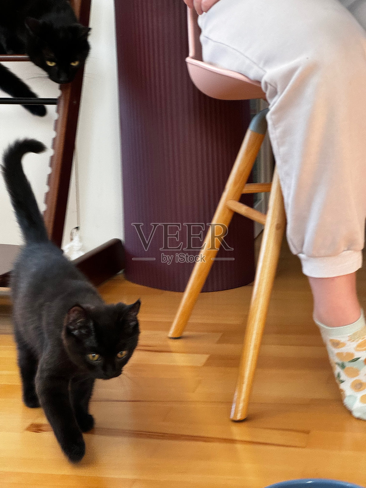 好奇的小黑猫在室内的地板上警觉地站着照片摄影图片