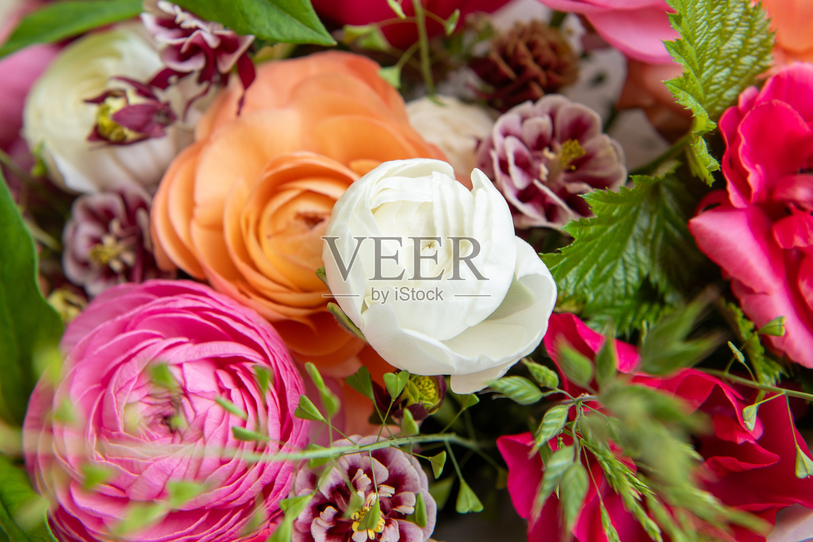 春季混合花束。美丽的柔和色调新鲜花卉组合。户外拍摄的由毛茛花组成的生日花束。照片摄影图片