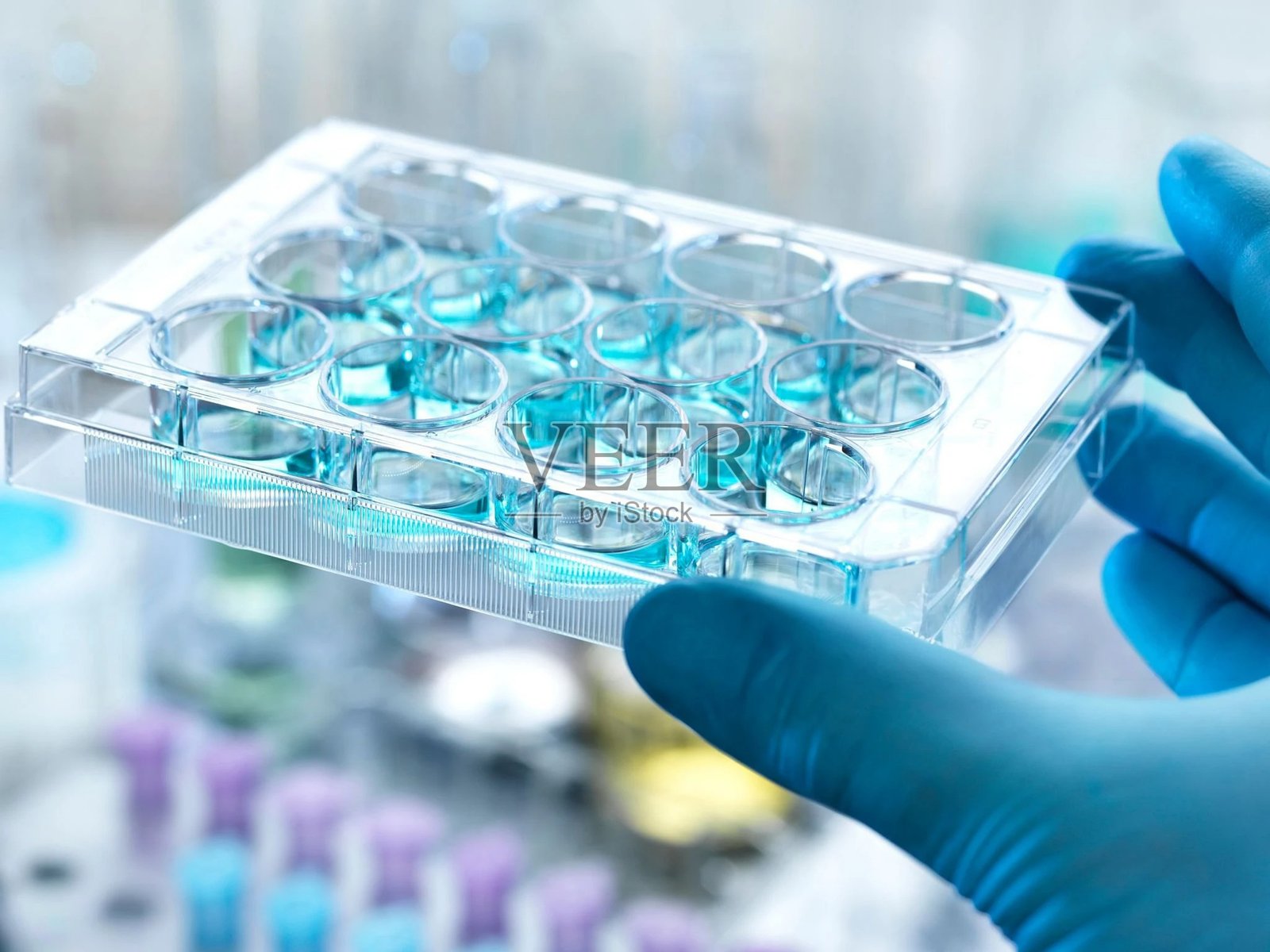 戴着手套的手特写，握着一个装满液体的多孔板。照片摄影图片