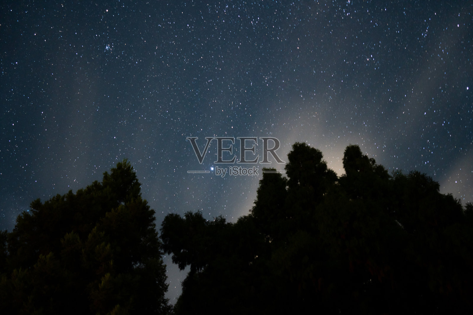 森林树冠间隙透出的星空夜景照片摄影图片