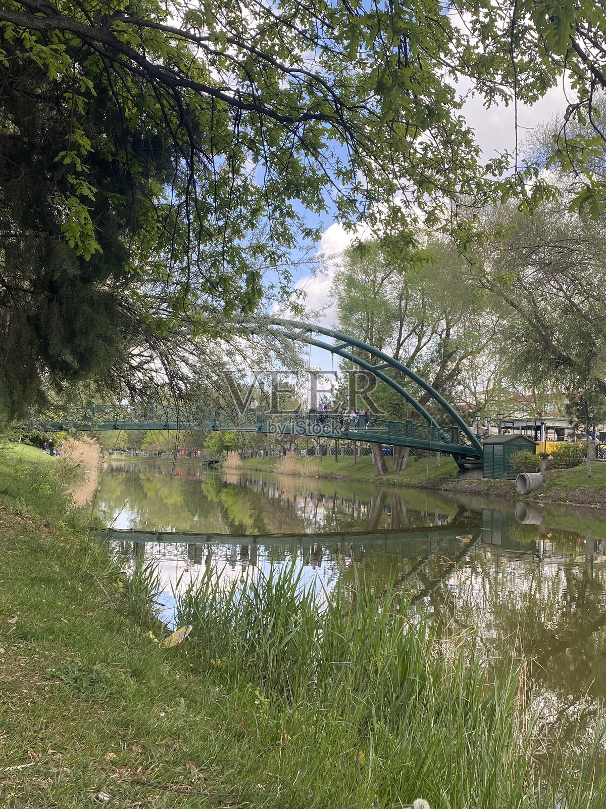 Lale照片摄影图片