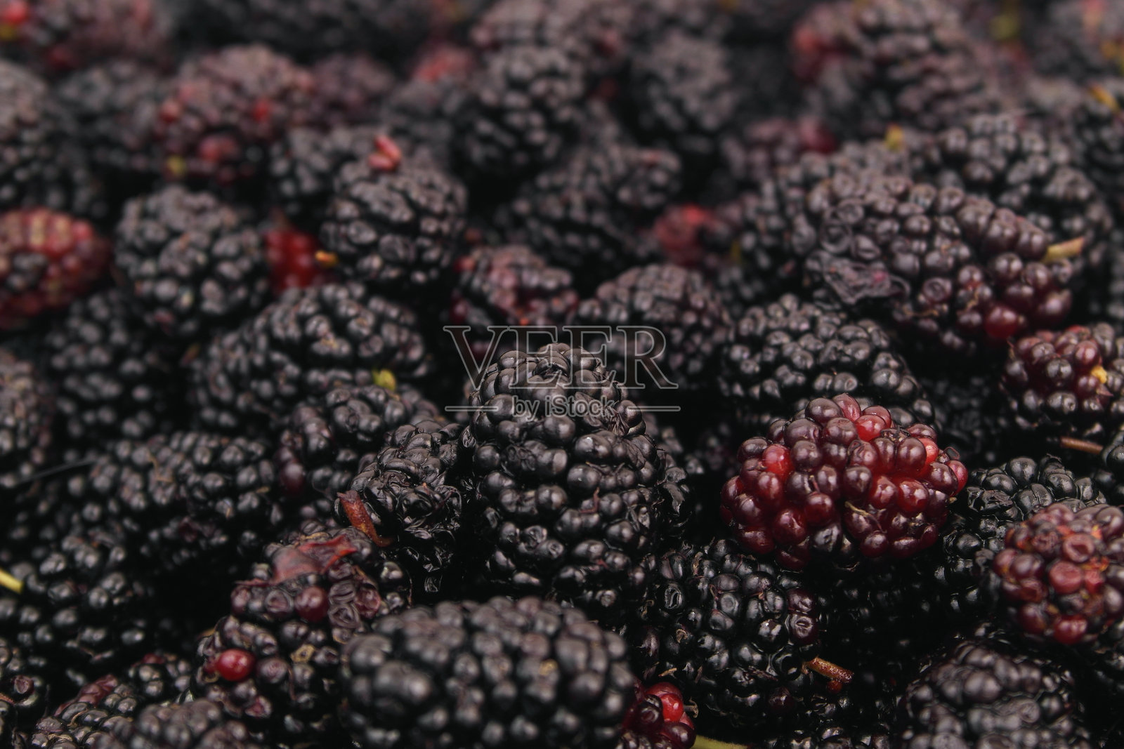 桑葚特写。照片摄影图片