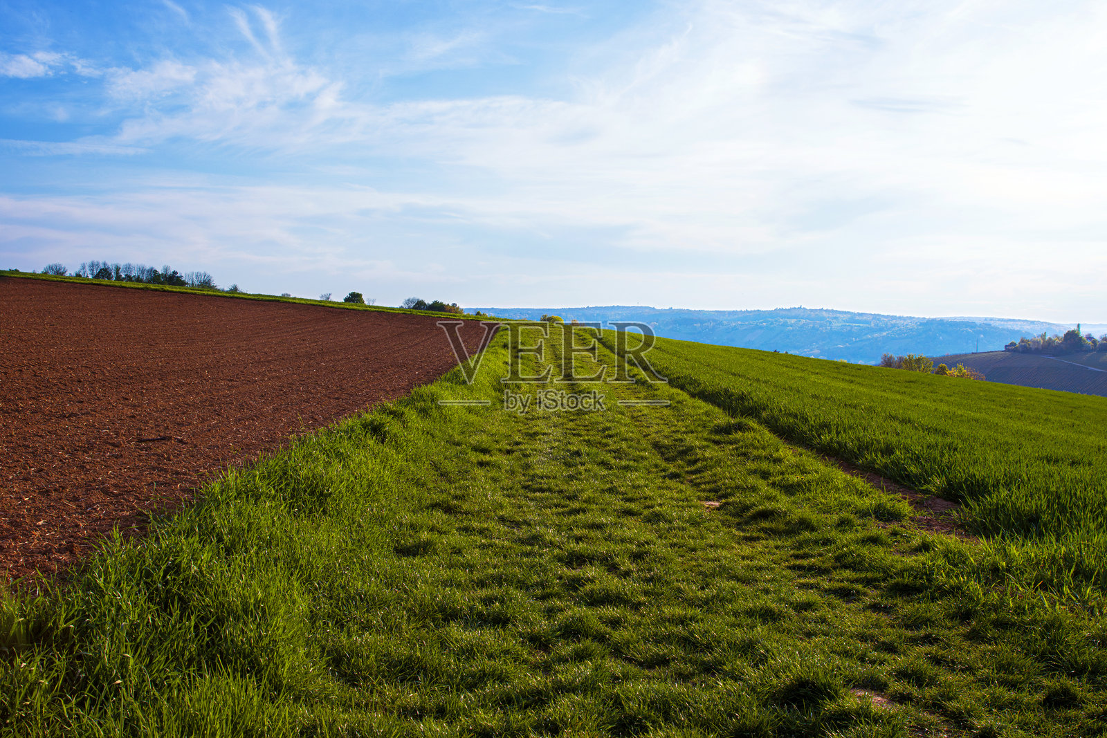 新耕的土壤与郁郁葱葱的草地形成鲜明对比，展现出乡村风光。耕地与绿色田野相邻，蓝天上飘着淡淡的云朵。照片摄影图片