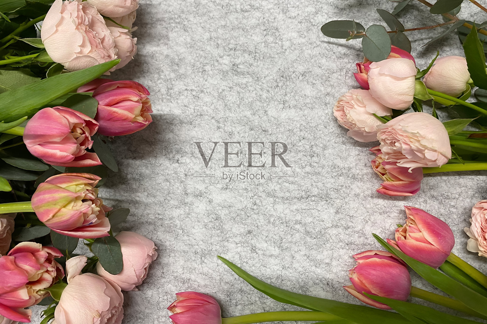 花卉背景。新鲜盛开的郁金香在灰色纹理背景上。照片摄影图片