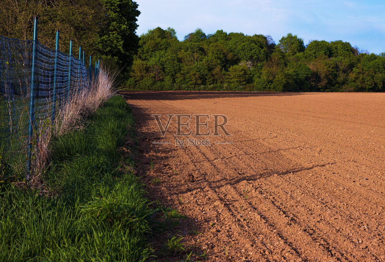 一片新翻耕的农田在春天沿着绿色森林的边缘延伸，蓝色金属围栏标记着边界。耕作土地与自然野生环境之间的对比。照片摄影图片