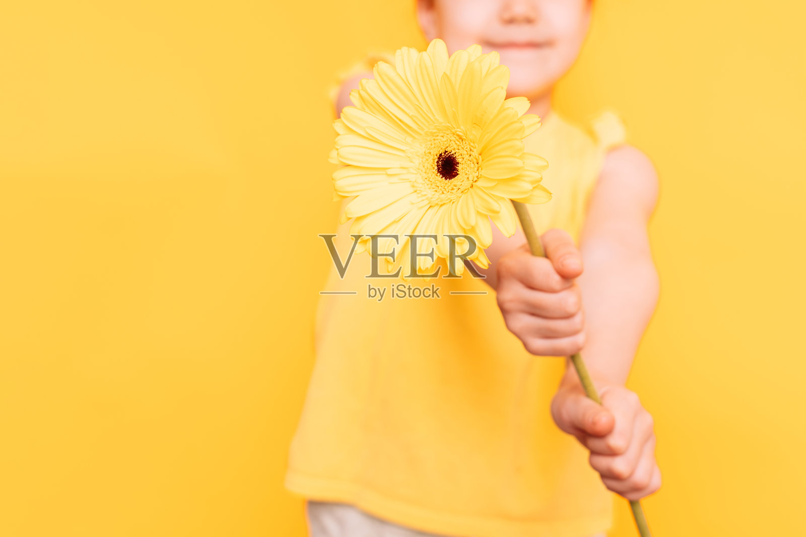一个小女孩在黄色背景前手持一朵黄色花朵照片摄影图片