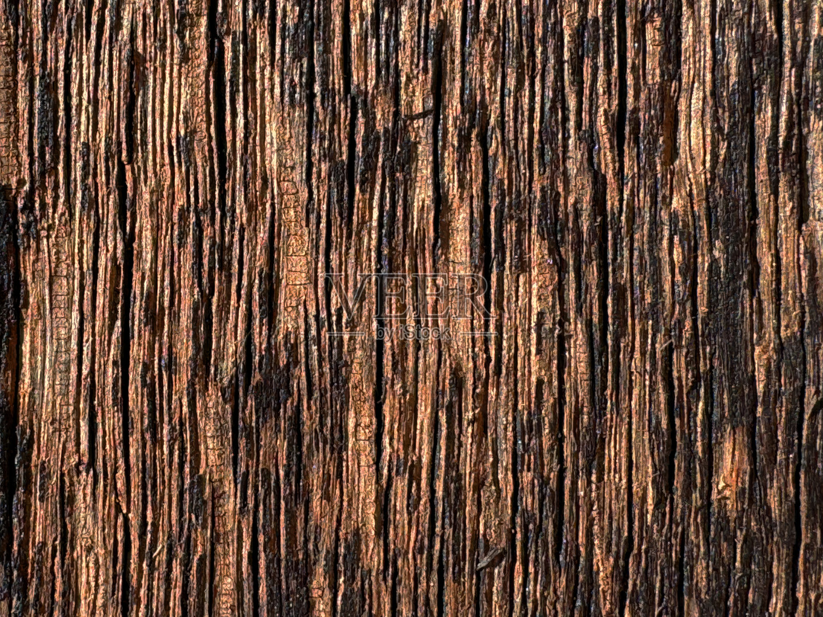 粗糙原木表面的特写，深纵向纹理，温暖的棕色调，风化的裂缝和自然的高光，完美适合有机和手工设计主题。纹理木材表面特写。照片摄影图片