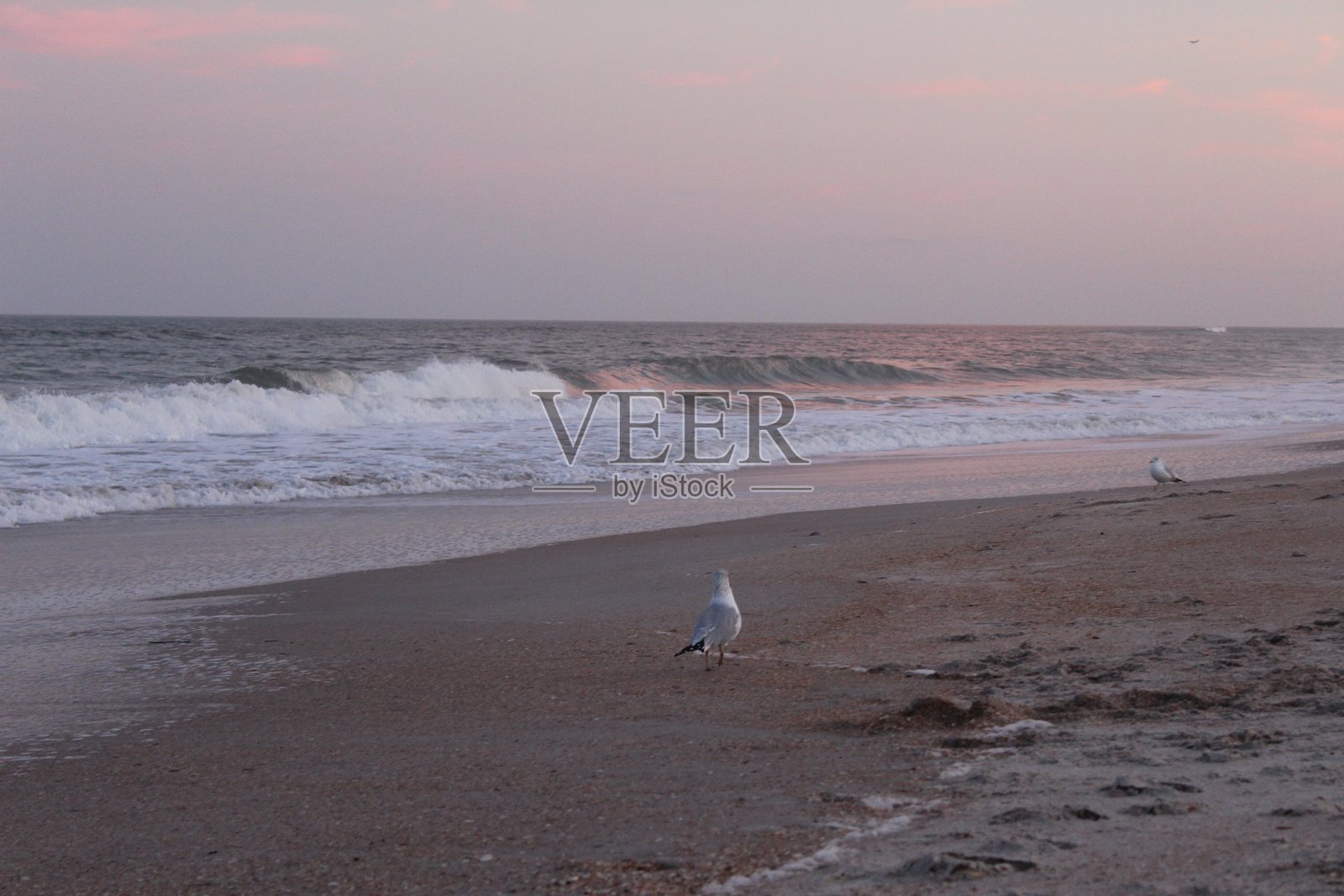 海滩照片摄影图片