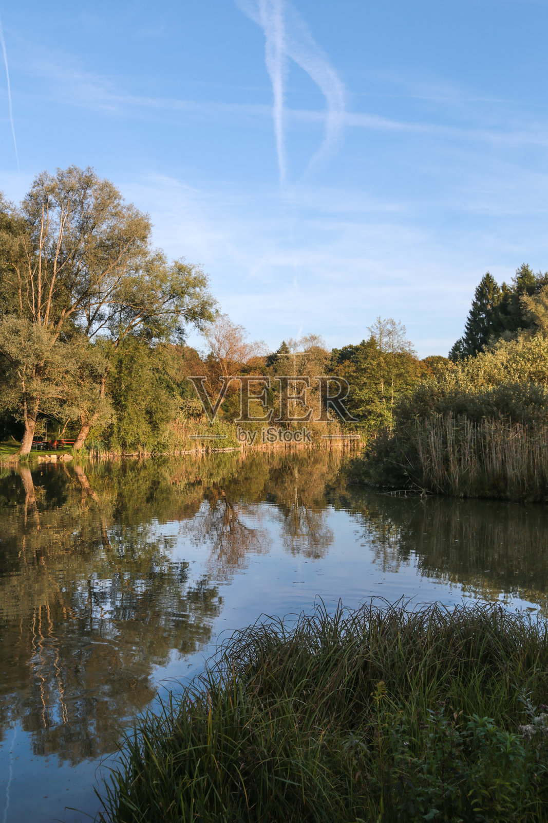 宁静的湖泊，背景有树木照片摄影图片