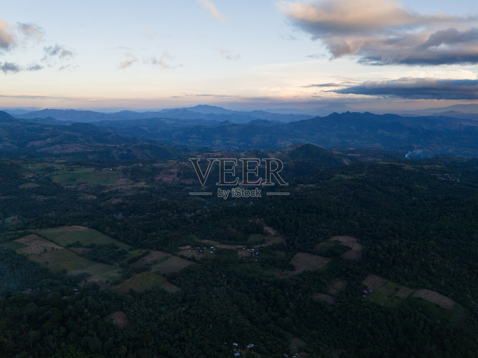 户外绿色自然风光照片摄影图片