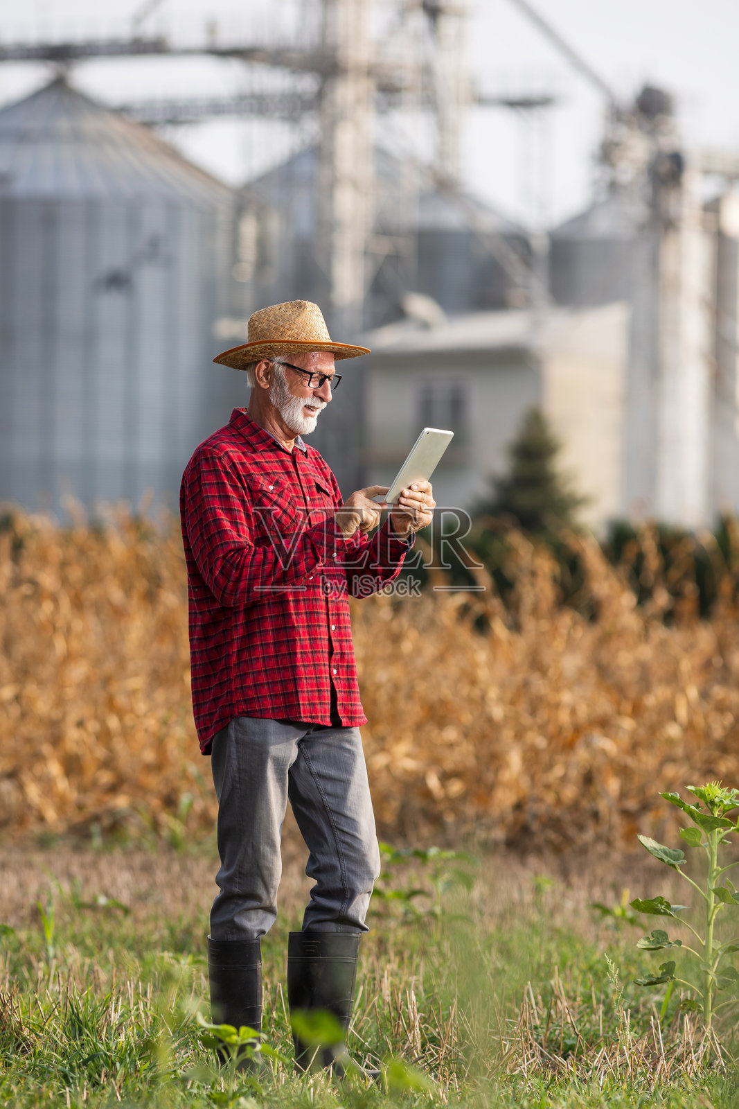 农民在粮仓前使用平板电脑照片摄影图片