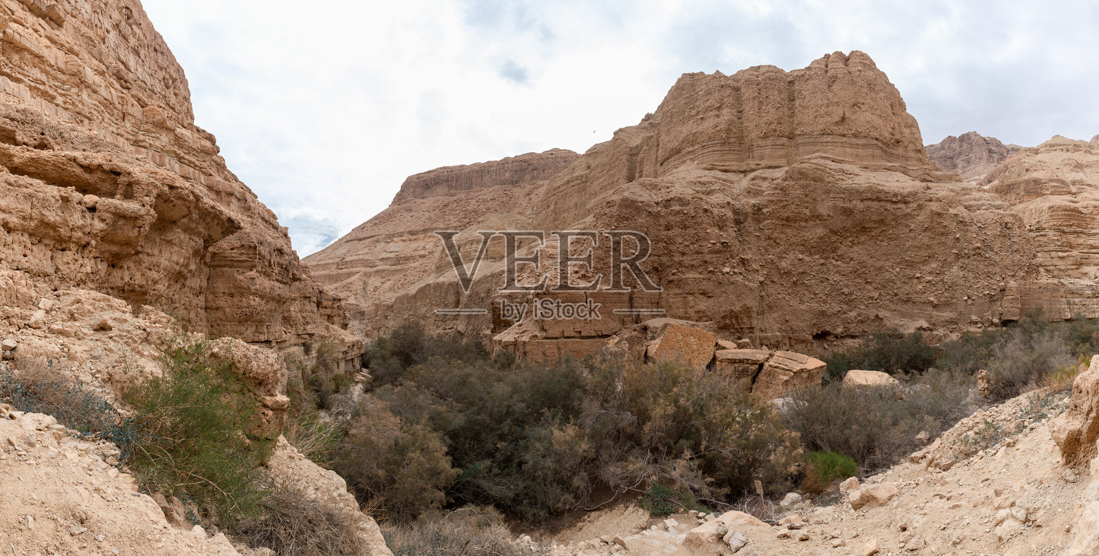 阿鲁戈特溪自然保护区内无与伦比的自然壮丽，位于以色列南部的死海附近。照片摄影图片