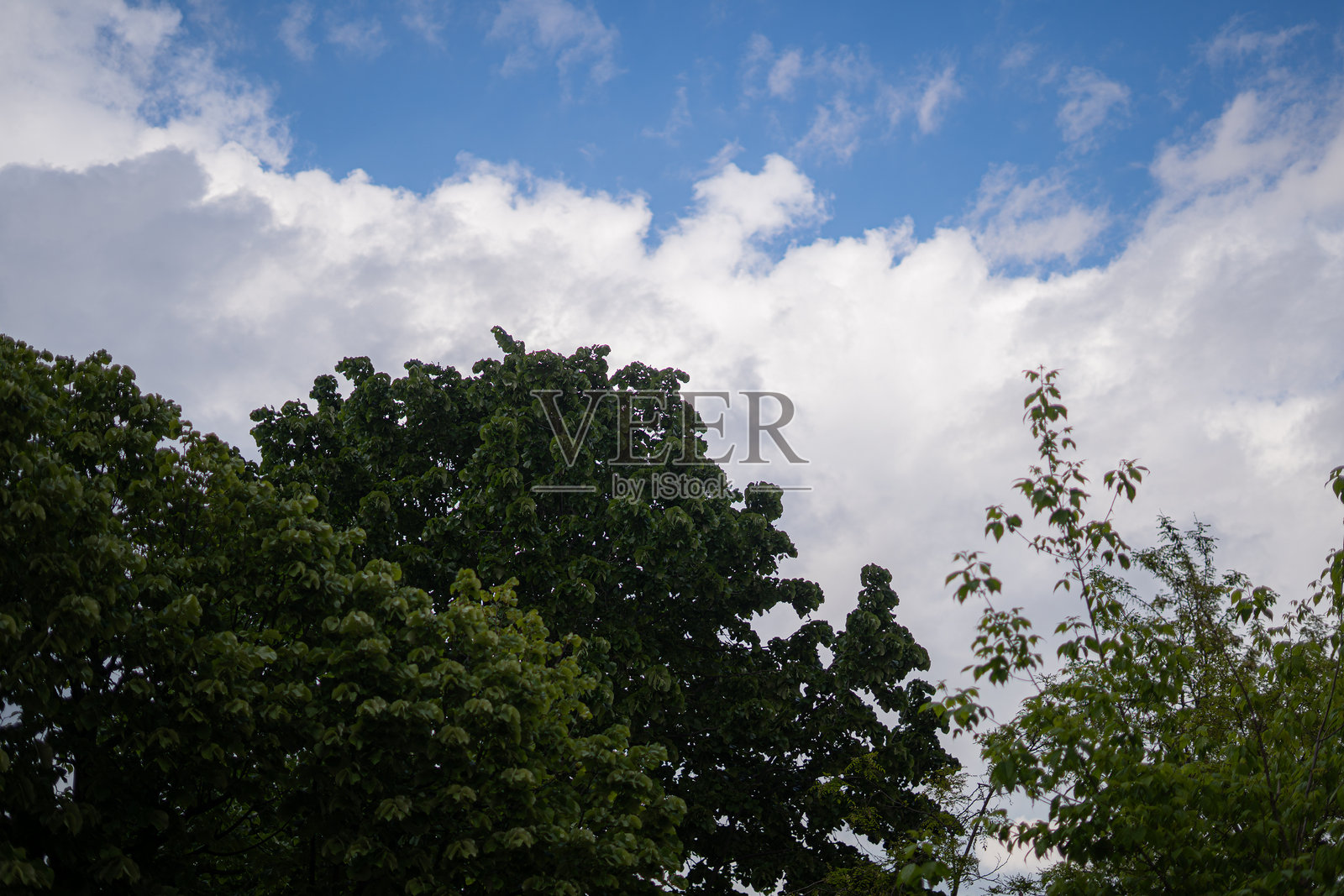 创造的简单与伟大的故事。照片摄影图片