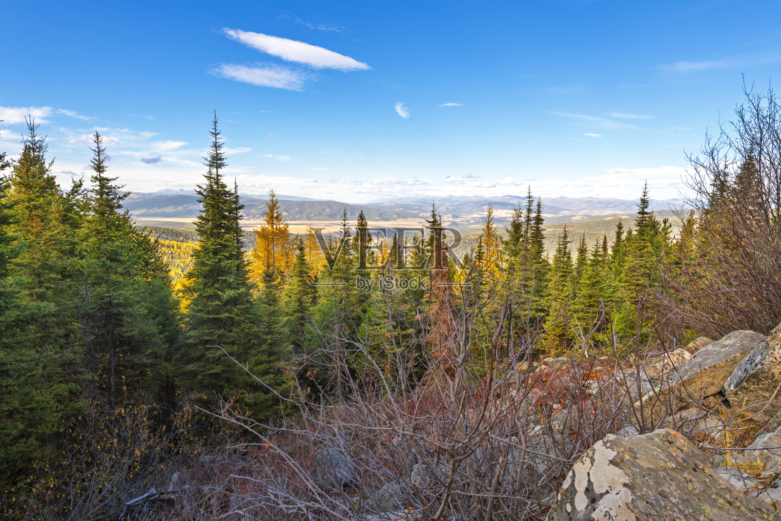 秋季时节，蒙大拿州山脉中，靠近保存完好的加尔内特幽灵历史矿镇的加尔内特资源区观景台的山顶视野。照片摄影图片