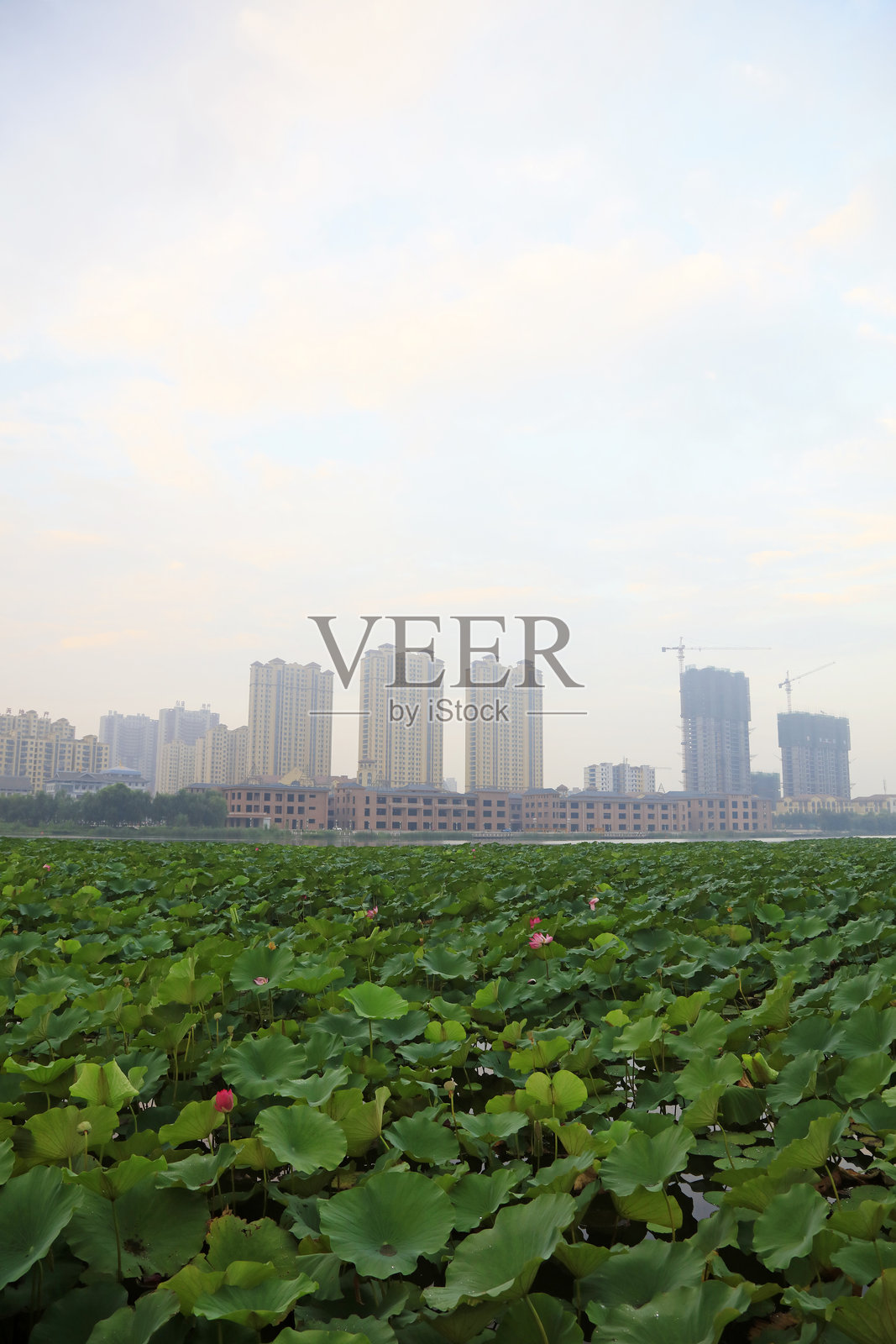 中国的城市建筑风景照片摄影图片