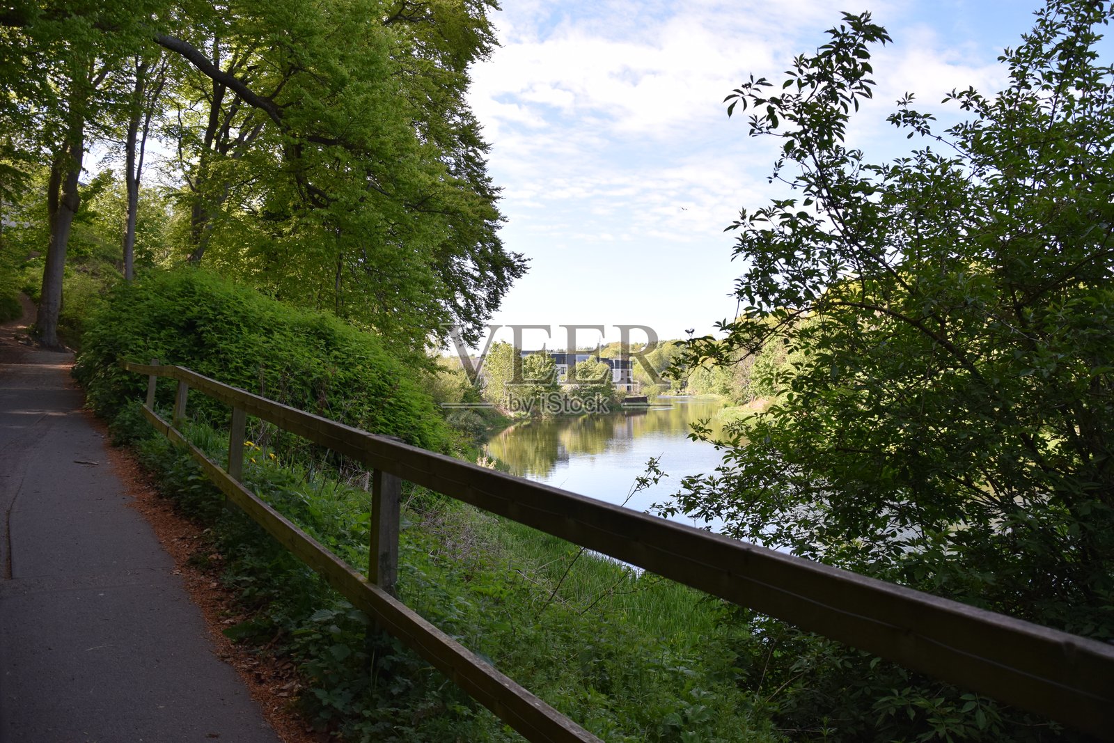 春天的西顿公园照片摄影图片