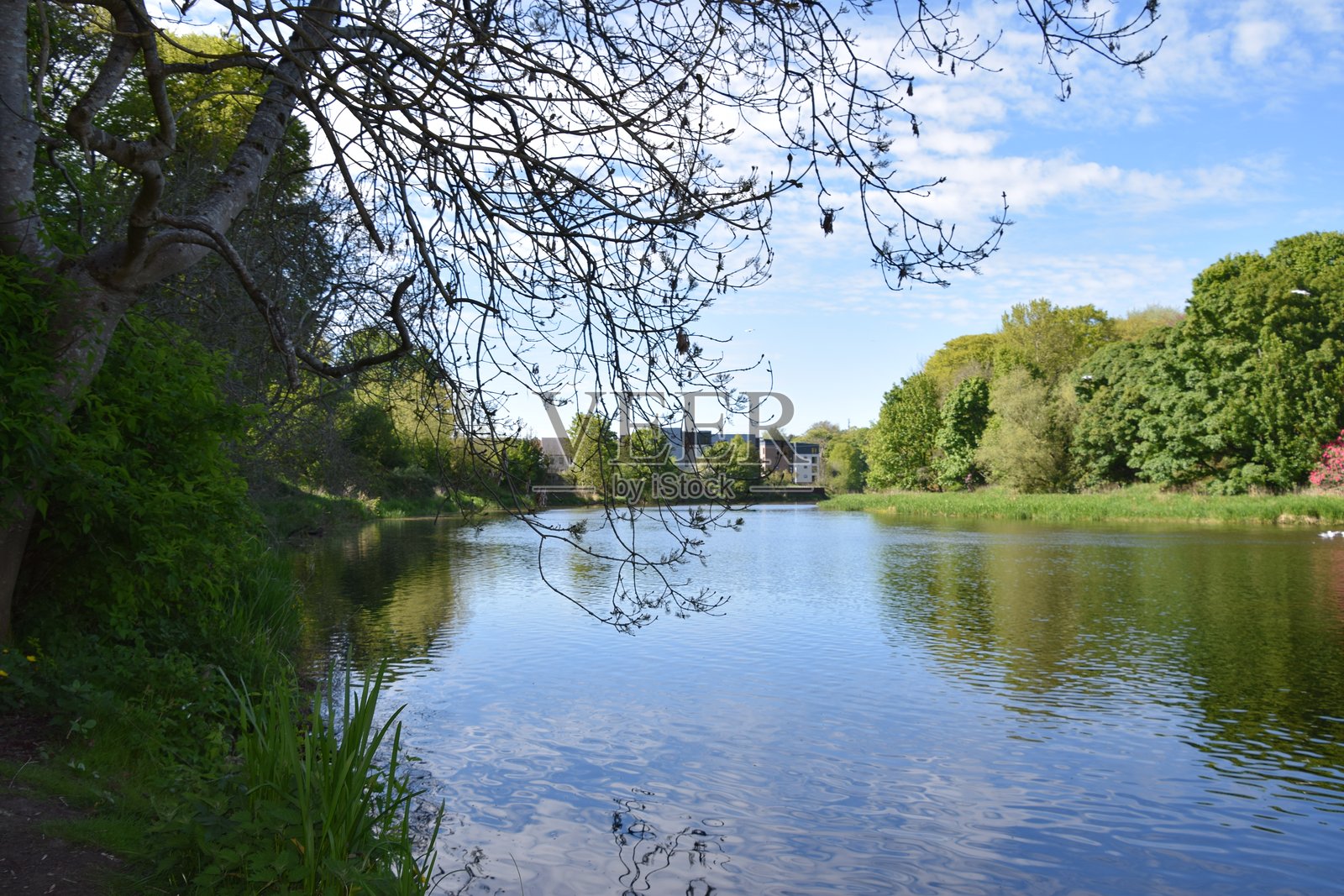 春天的西顿公园照片摄影图片