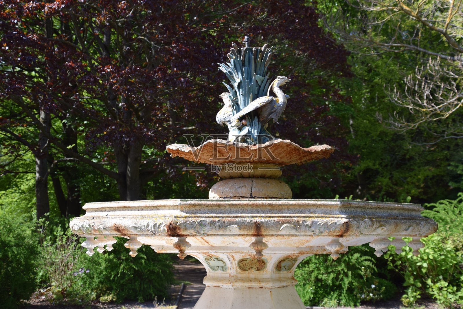 春天的西顿公园照片摄影图片