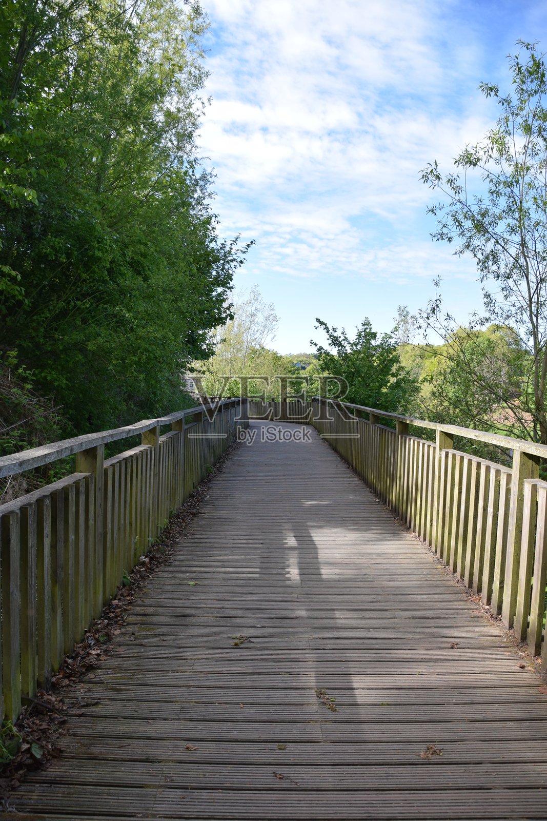 春天的西顿公园照片摄影图片