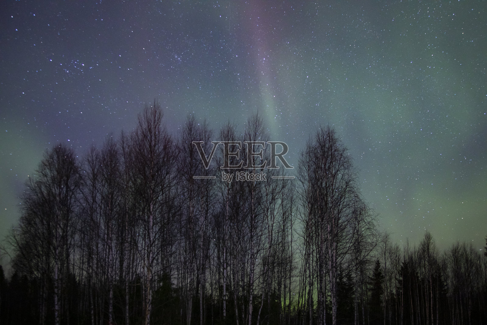 天空中的北极光照片摄影图片