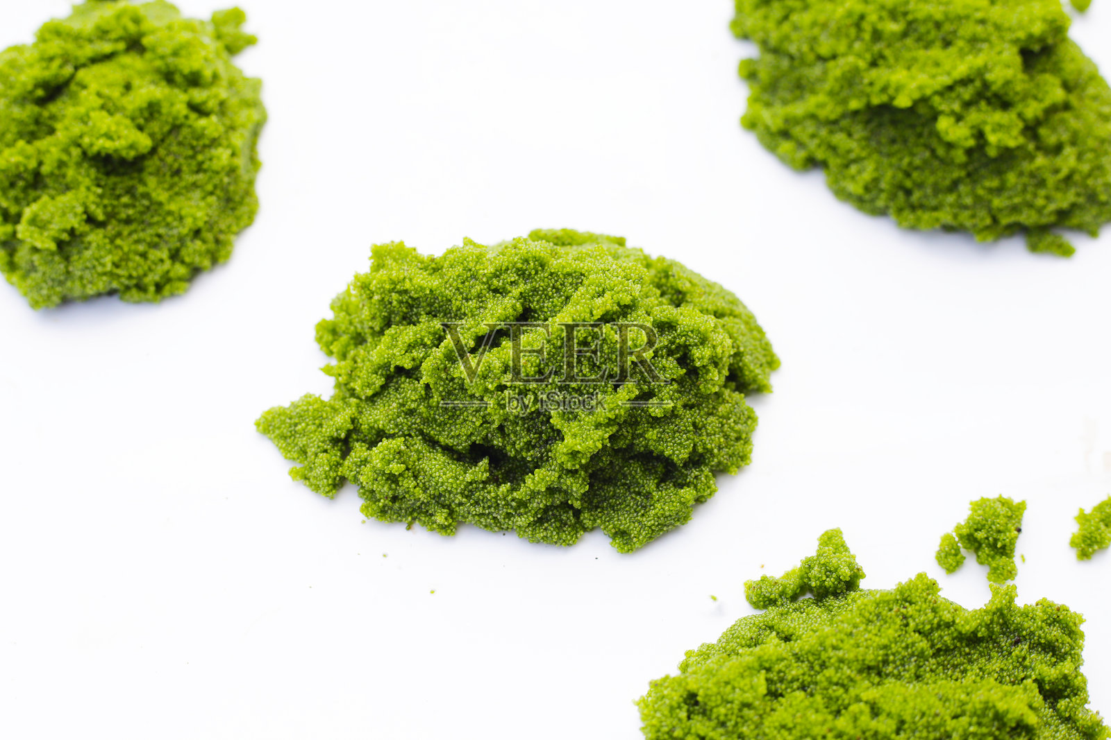 淡水藻类、水生小球藻或沼泽藻类照片摄影图片