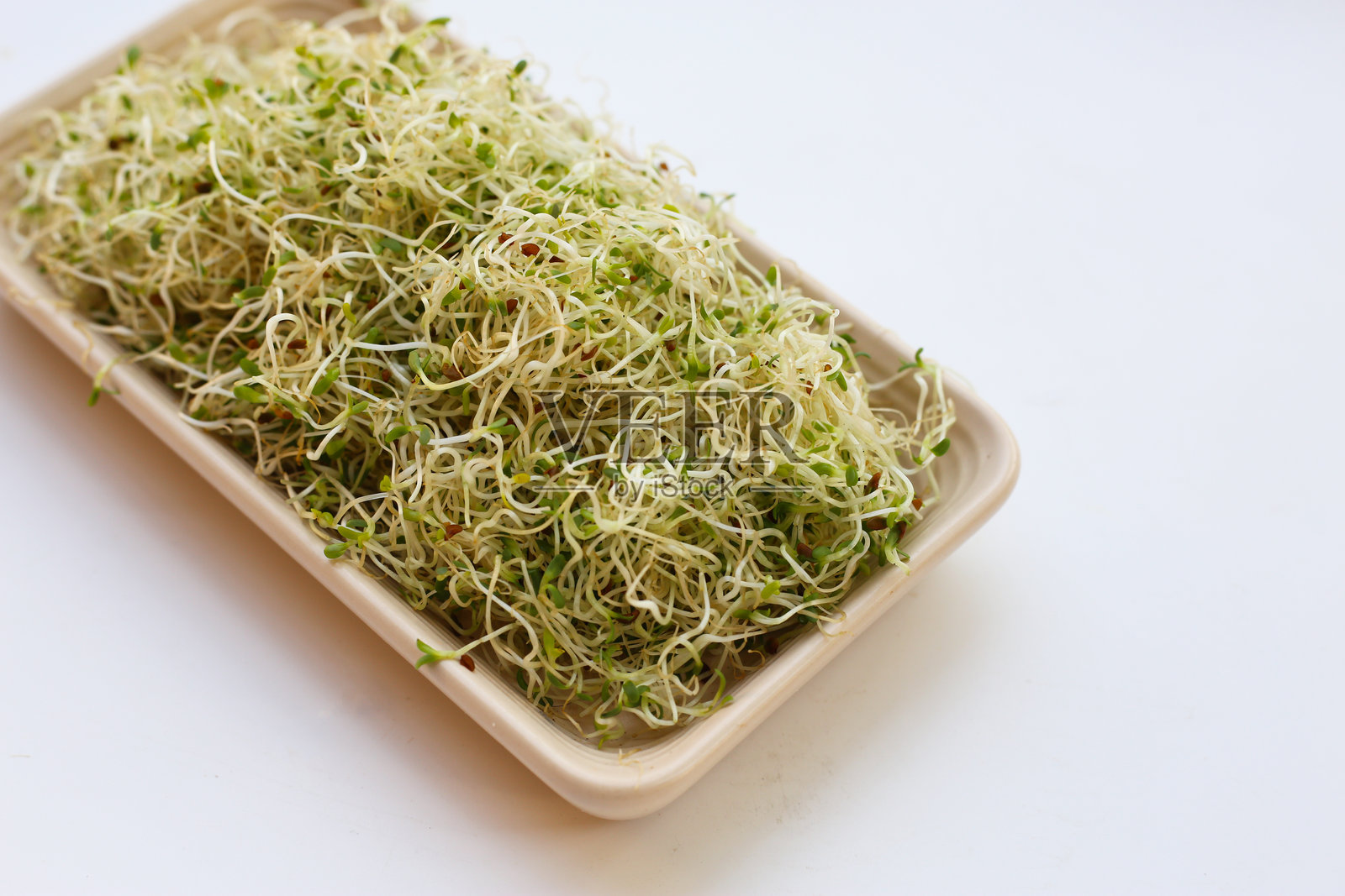 新鲜的绿芽苜蓿种子照片摄影图片