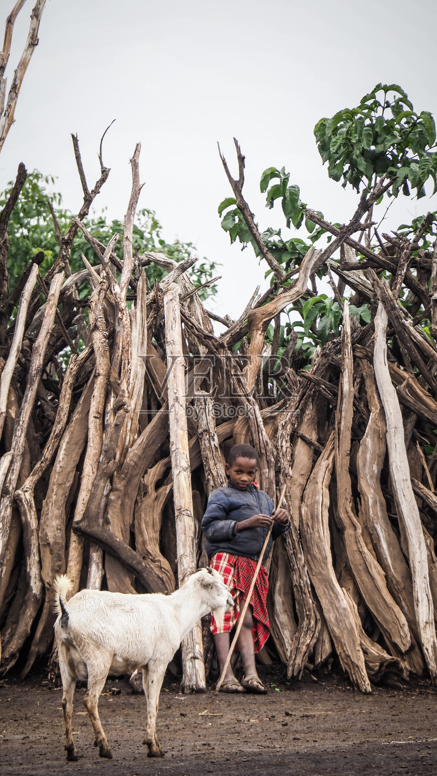 坦桑尼亚的传统马赛村庄照片摄影图片