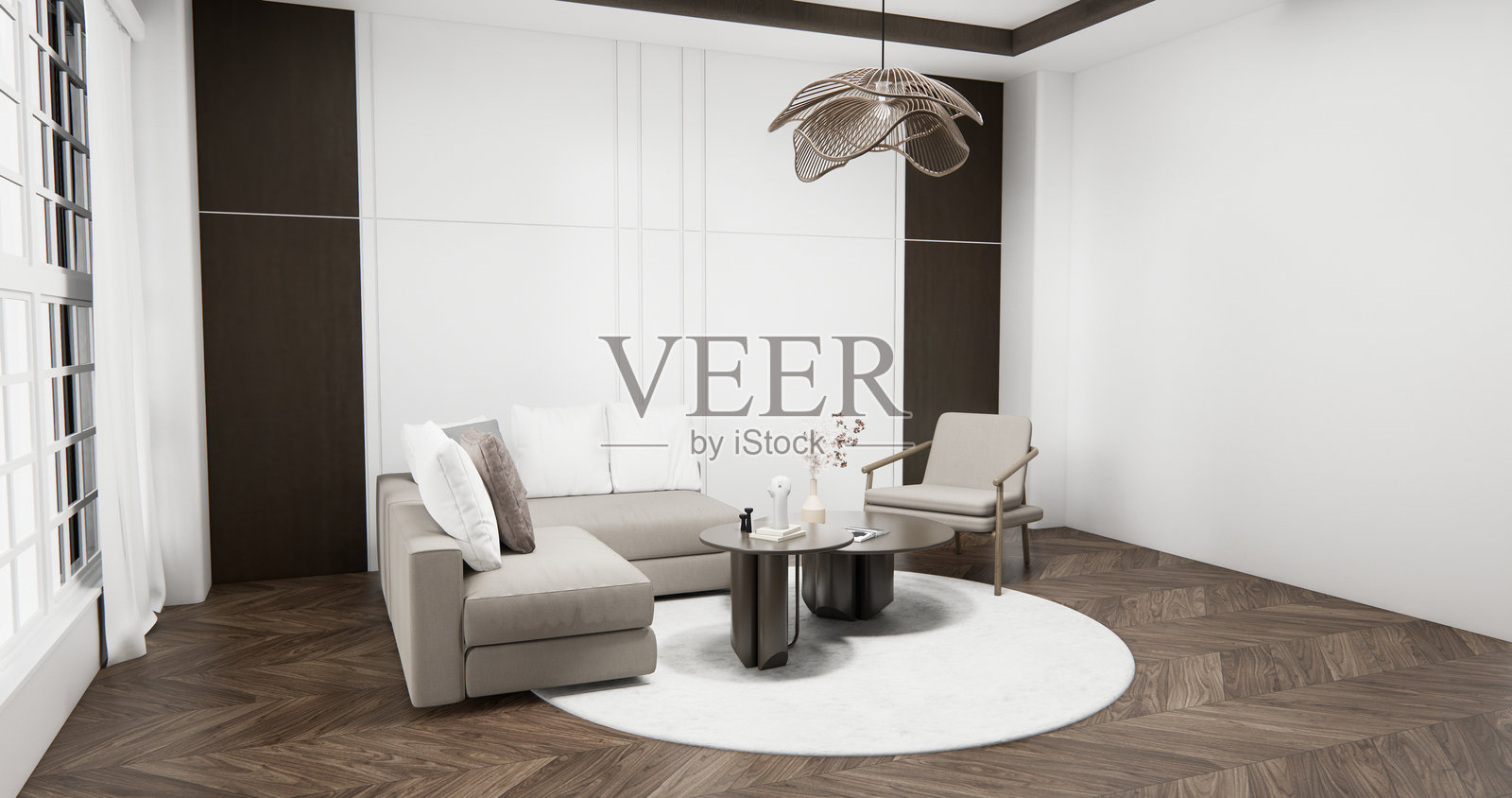 空房间里的壁橱墙架，配有装饰、灯具、植物、地毯和沙发。3D渲染图照片摄影图片