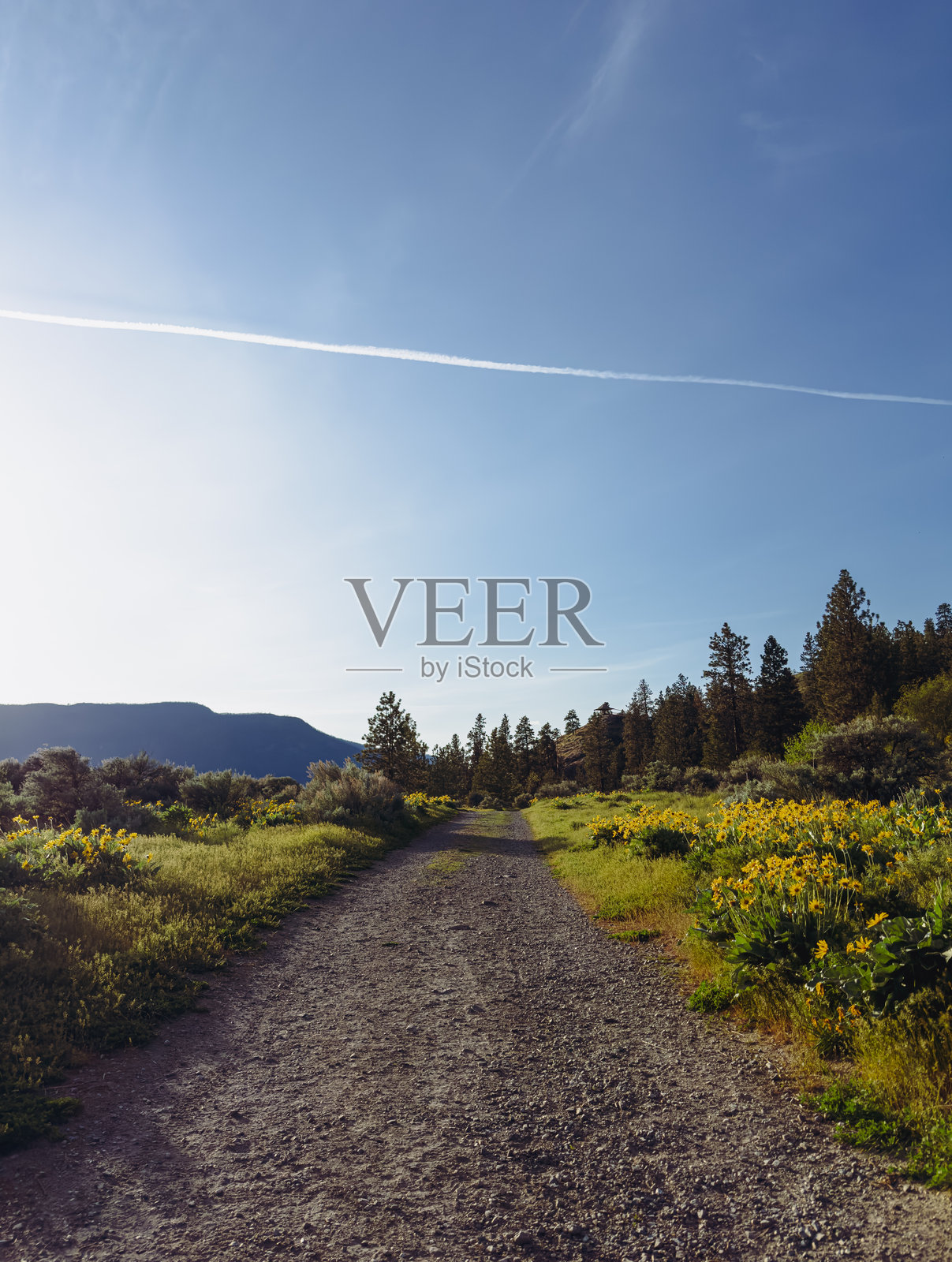 蓝天下的徒步小径照片摄影图片