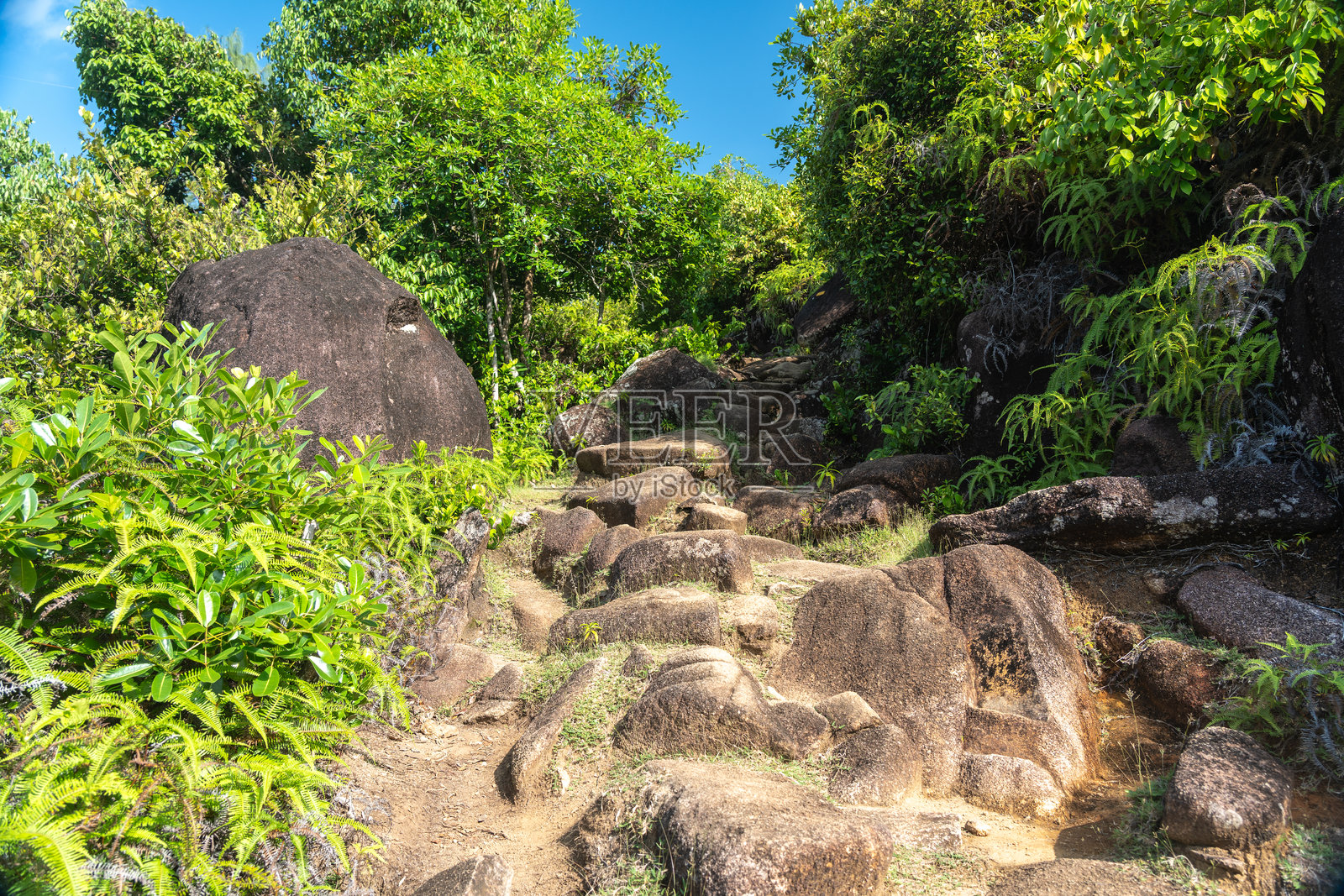 阳光明媚的岩石小径，布满花岗岩巨石照片摄影图片