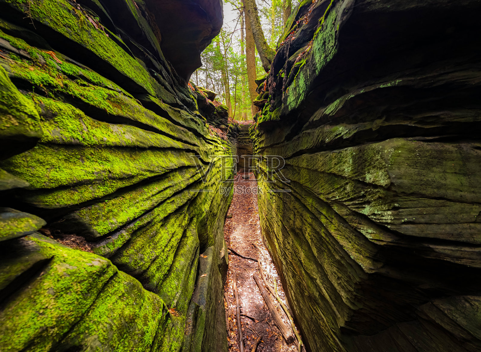 绿色洞穴岩石小径风景秀丽的景观照片摄影图片