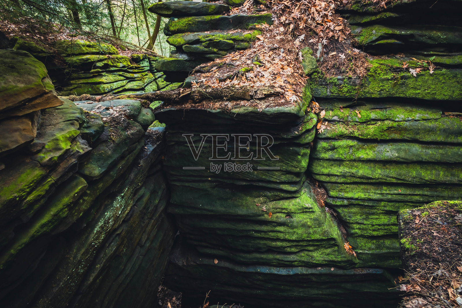 绿色洞穴岩架小径风景秀丽的景观照片摄影图片