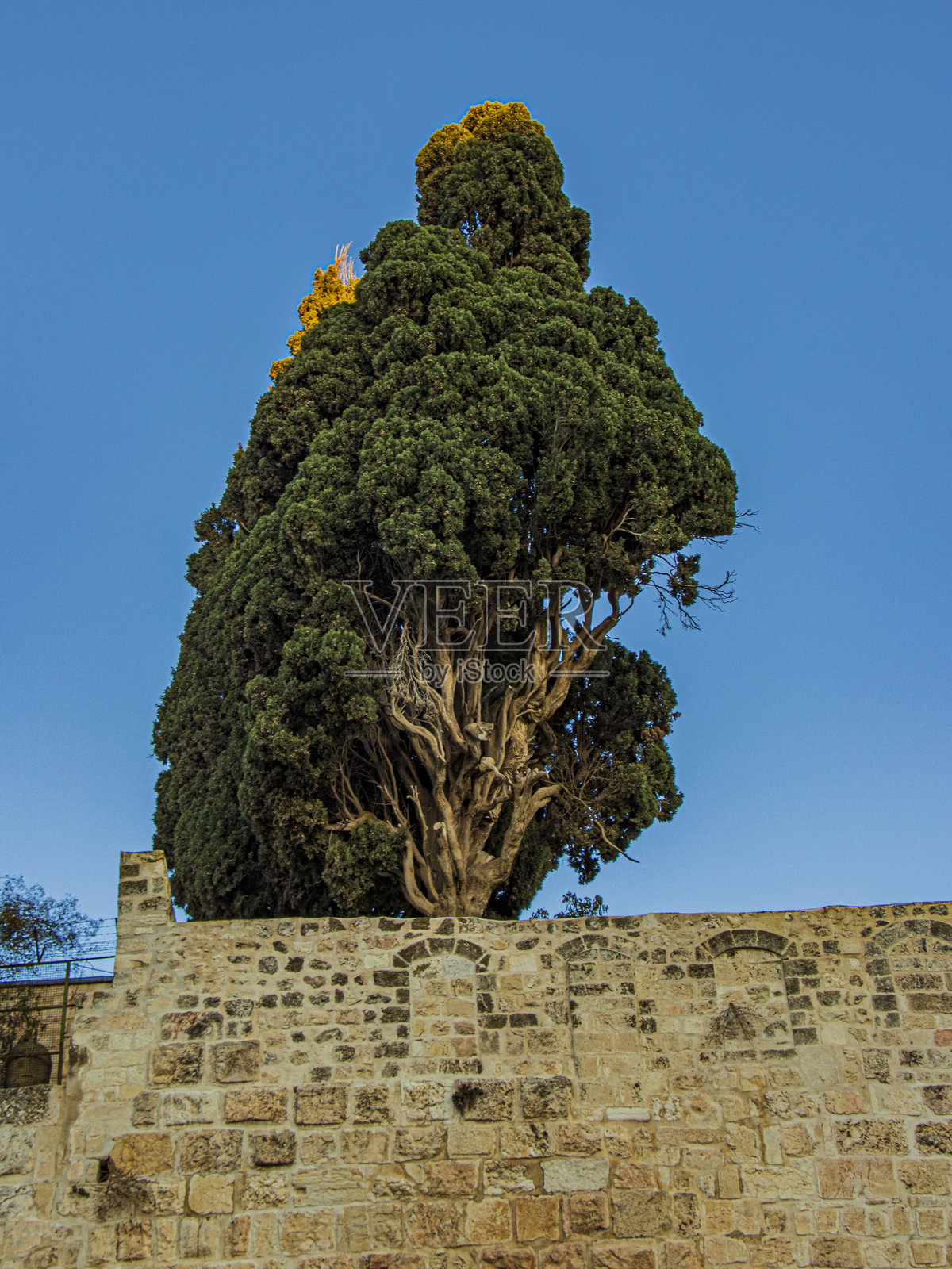 高高在上照片摄影图片