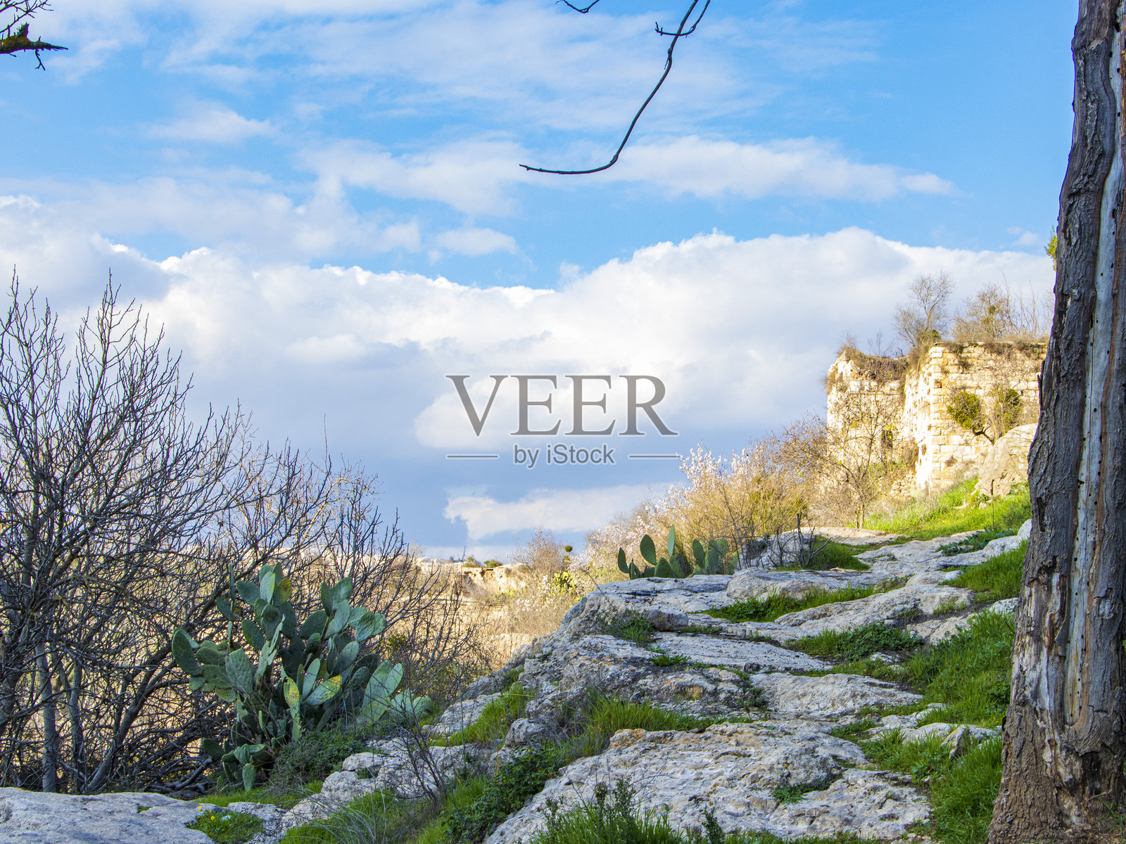 被遗弃的小路照片摄影图片