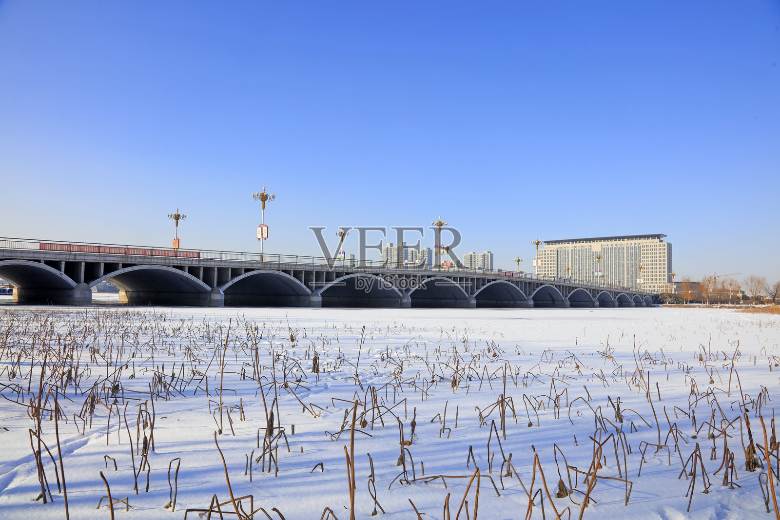 雪中的城市桥梁照片摄影图片