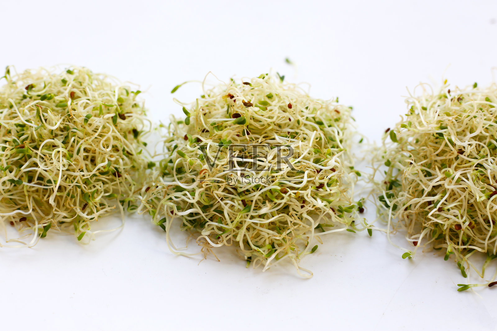 新鲜的绿芽苜蓿种子照片摄影图片